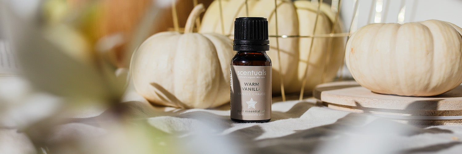 Vanilla Essential Oil – Delicate Smells