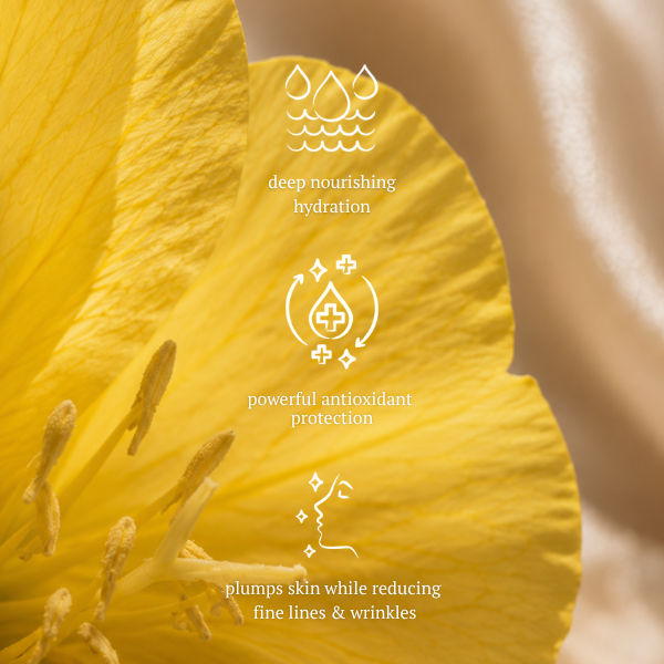 Restorative Nourishing Facial Cleanser