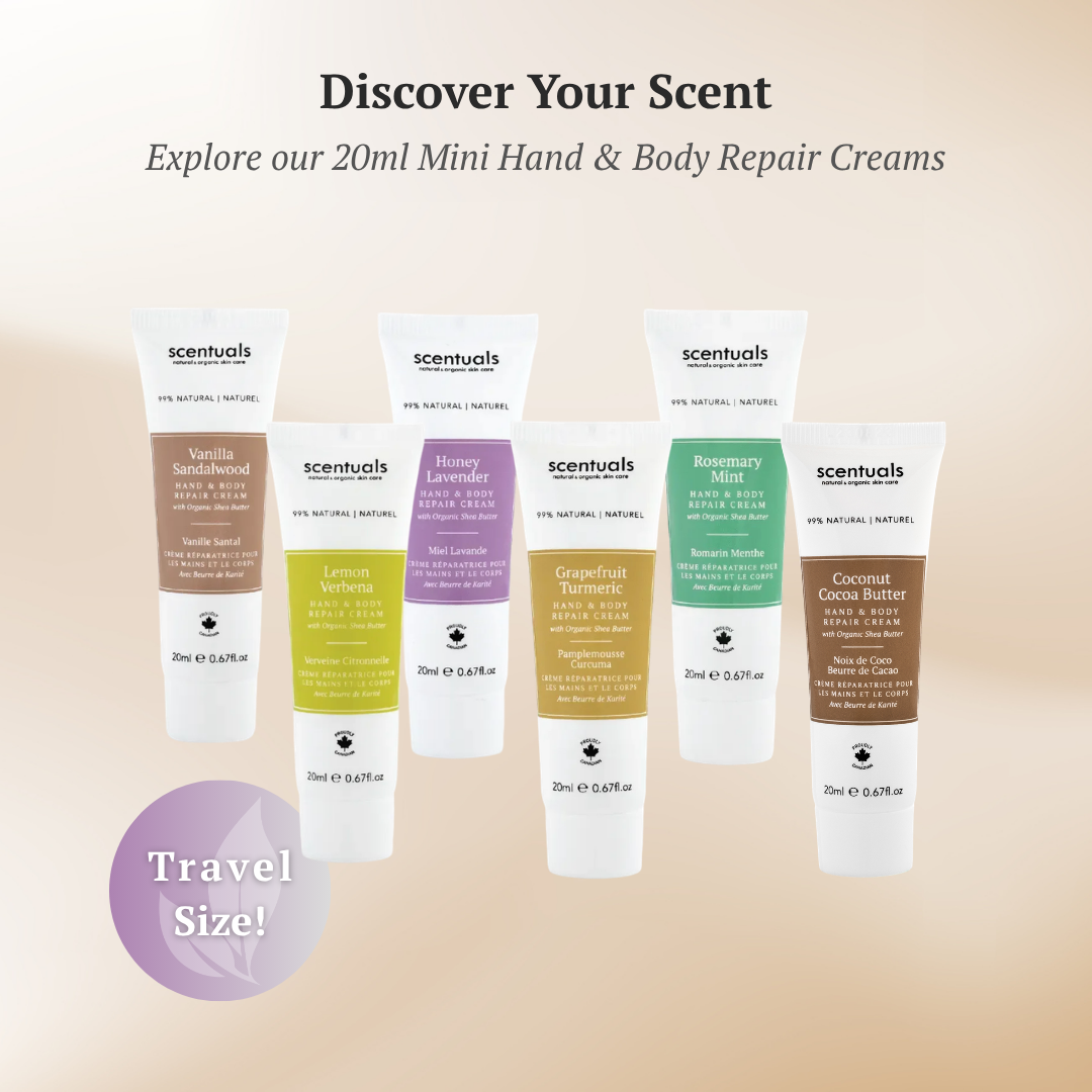 Coconut Cocoa Butter Hand & Body Repair Cream (Regular-Size)