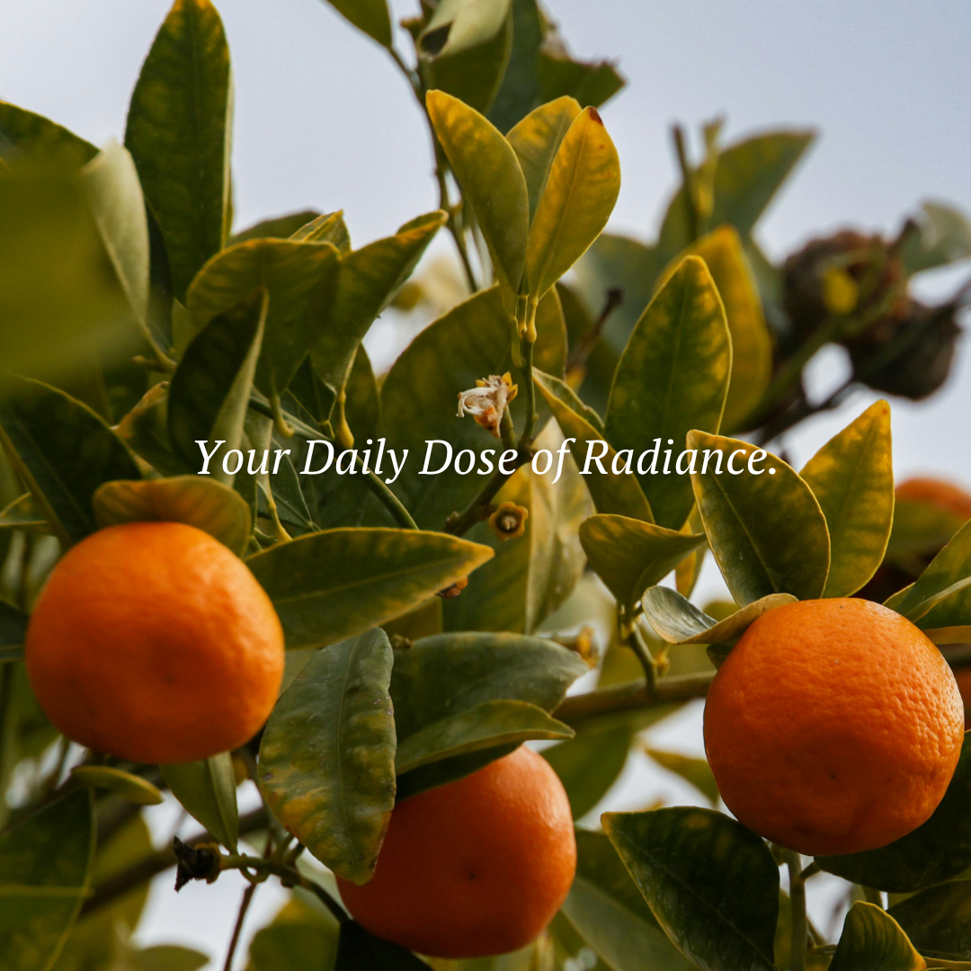 Vitamin C Facial Serum