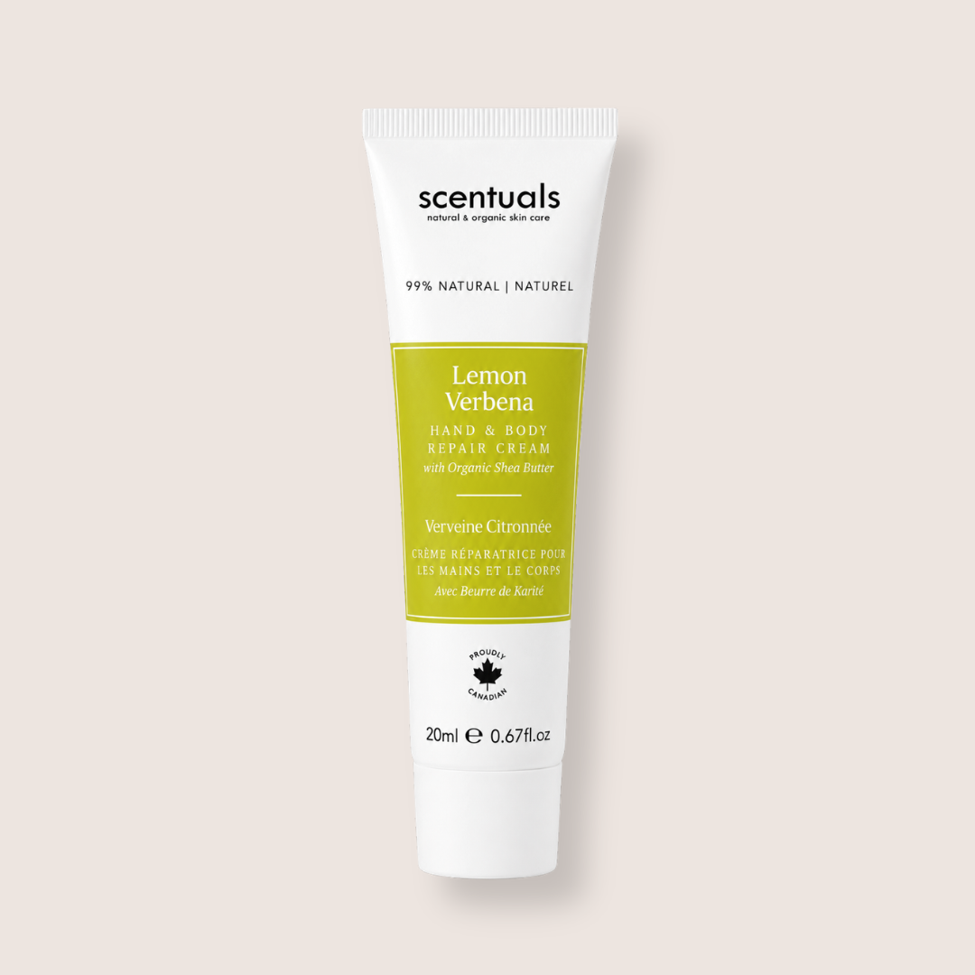 The Repair Creams Bundle (Minis)