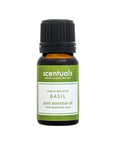Sweet Basil Essential Oil - Scentuals Natural & Organic Skin Care