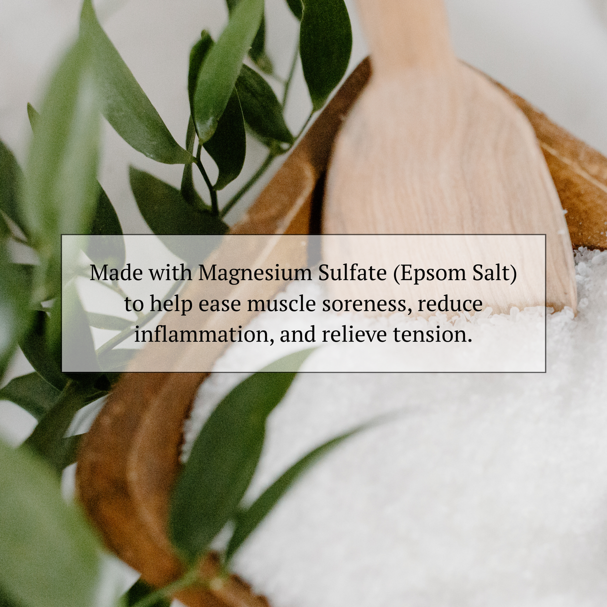 The Everyday Bath Soak Bundle