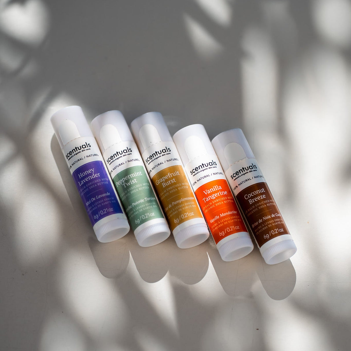 Coconut Breeze Lip Conditioner