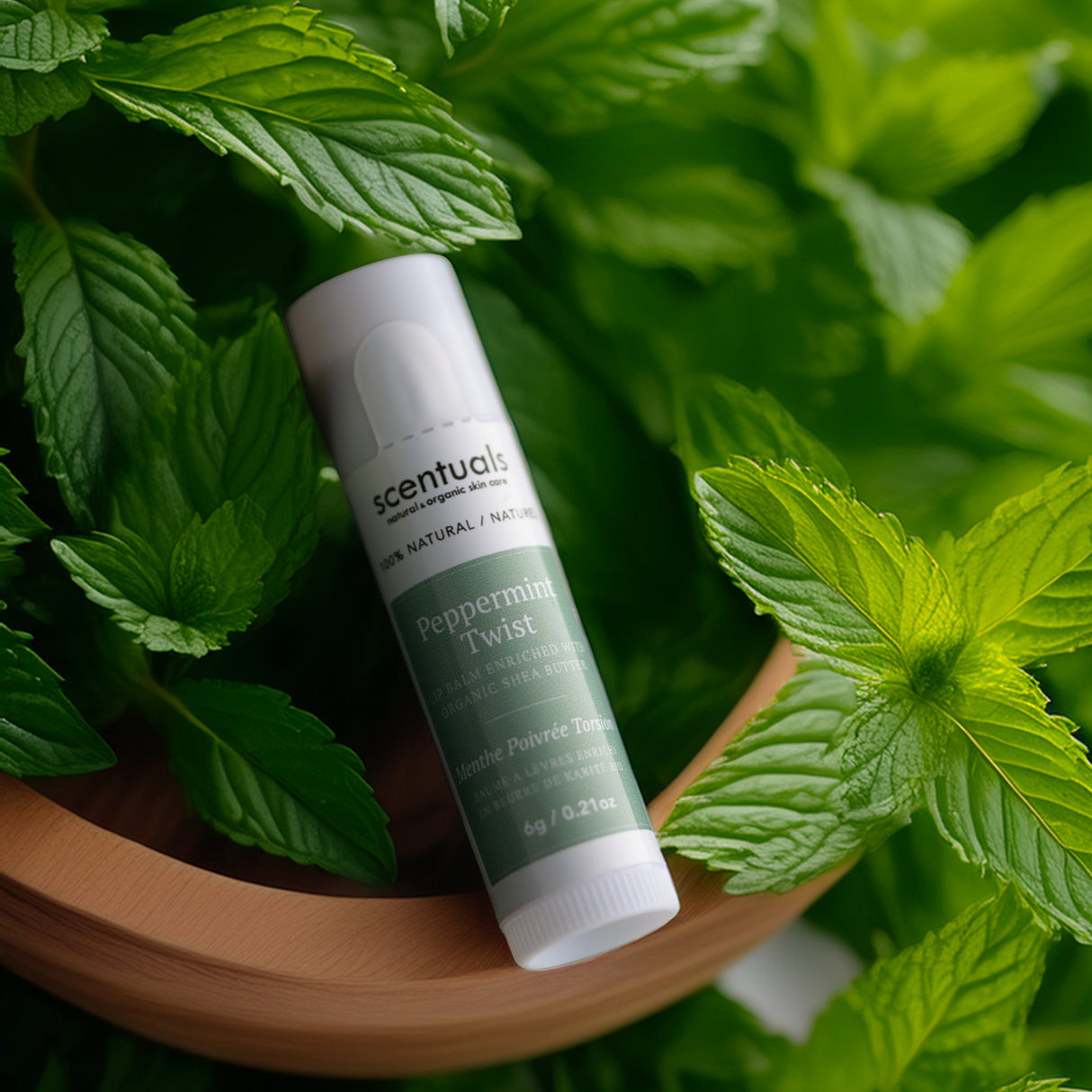 Peppermint Twist Lip Conditioner