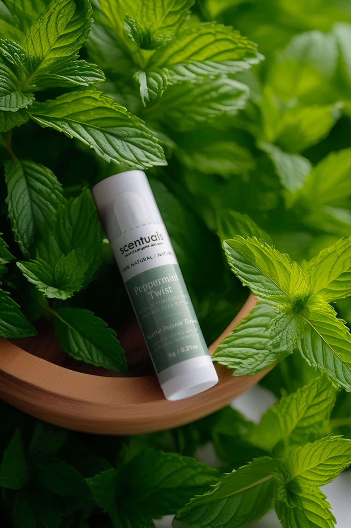 Peppermint Twist Lip Conditioner