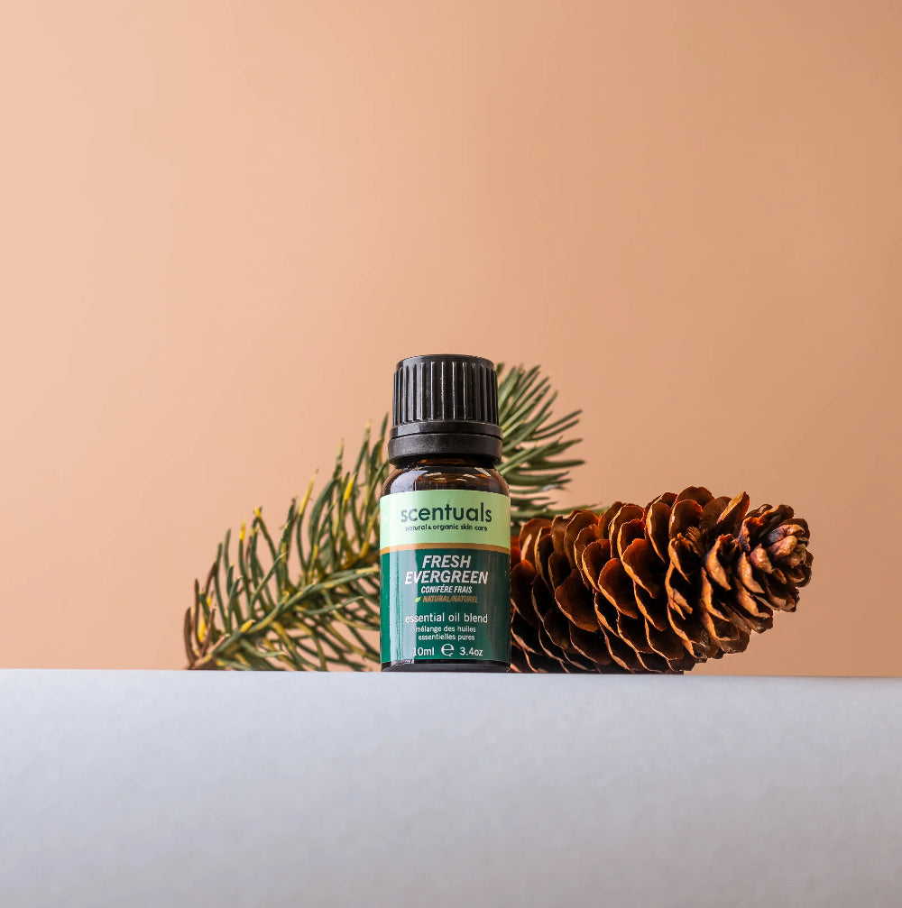 Fresh Evergreen Essential Oil Blend