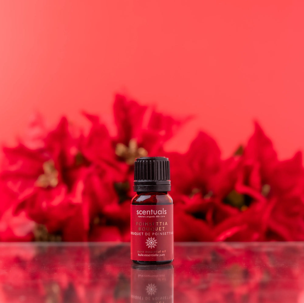 Poinsettia Bouquet Essential Oil Blend