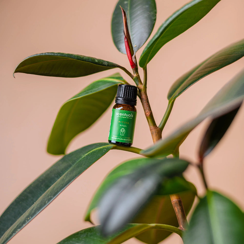 Ritual Essential Oil Blend