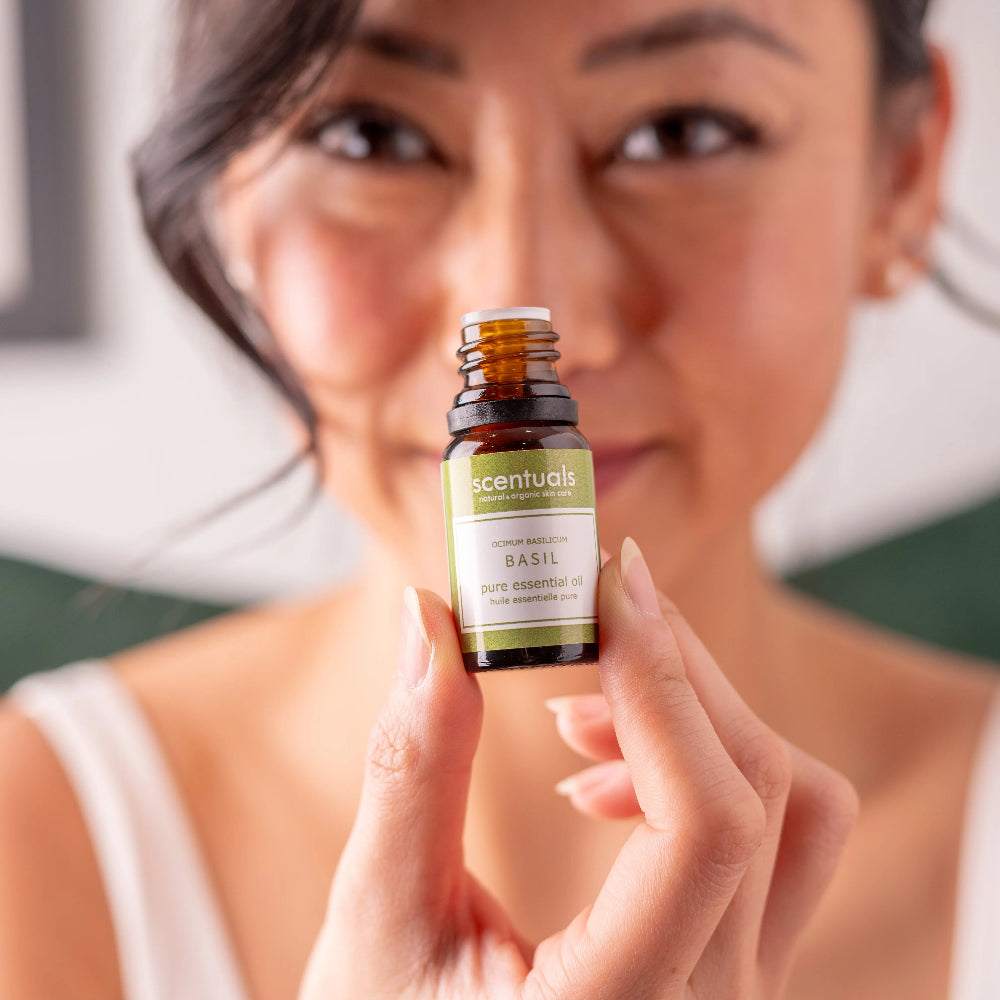 Sweet Basil Essential Oil