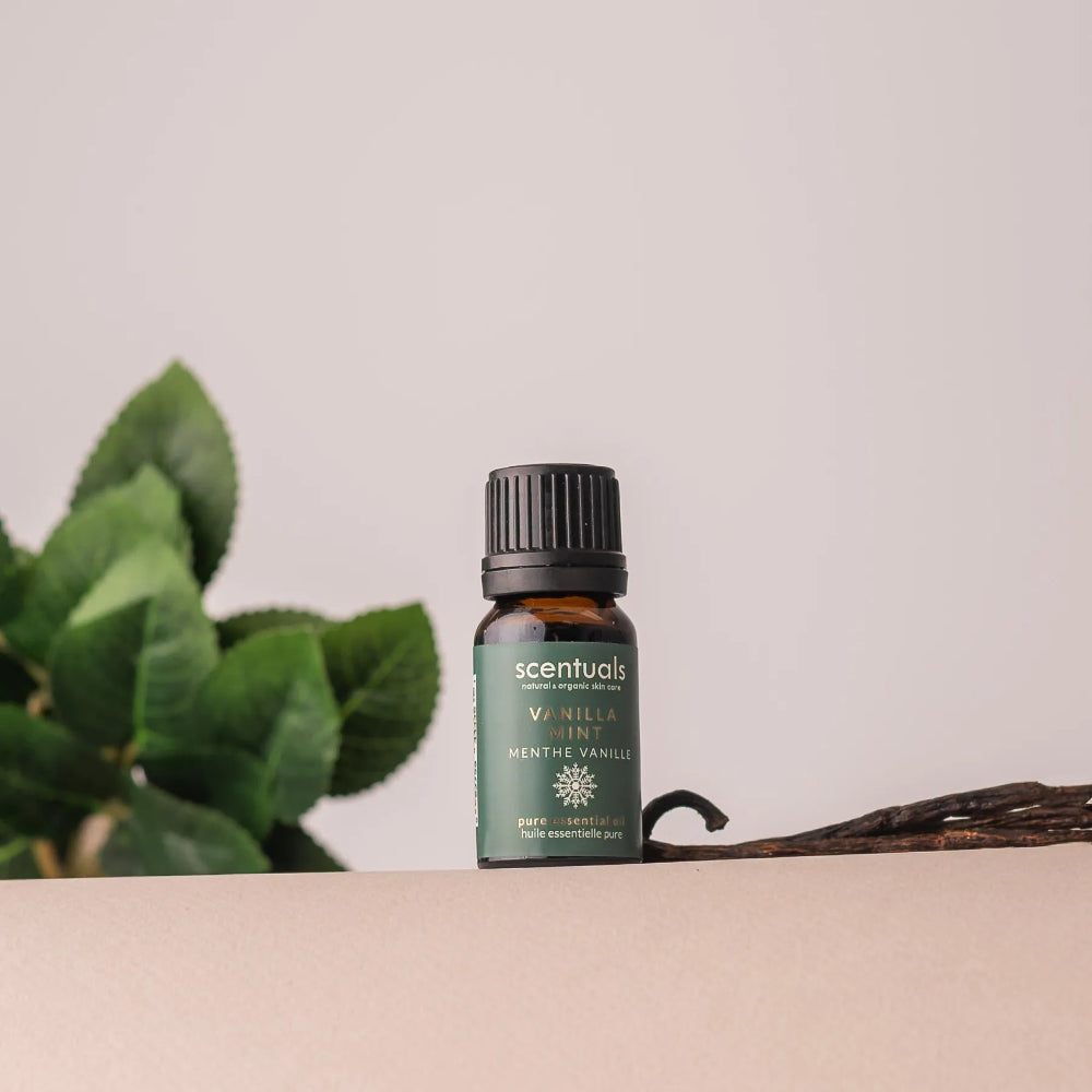 Vanilla Mint Essential Oil Blend