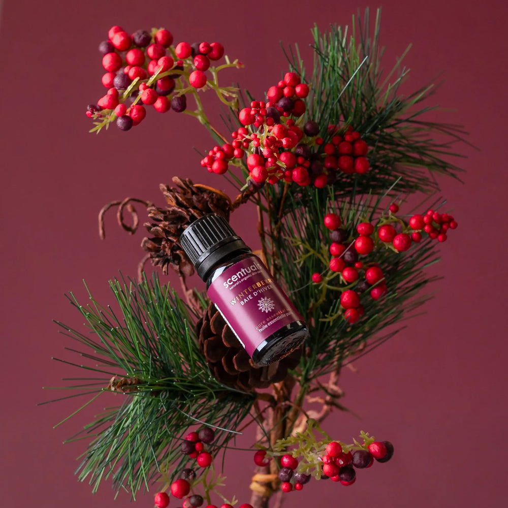Winterberry Essential Oil Blend