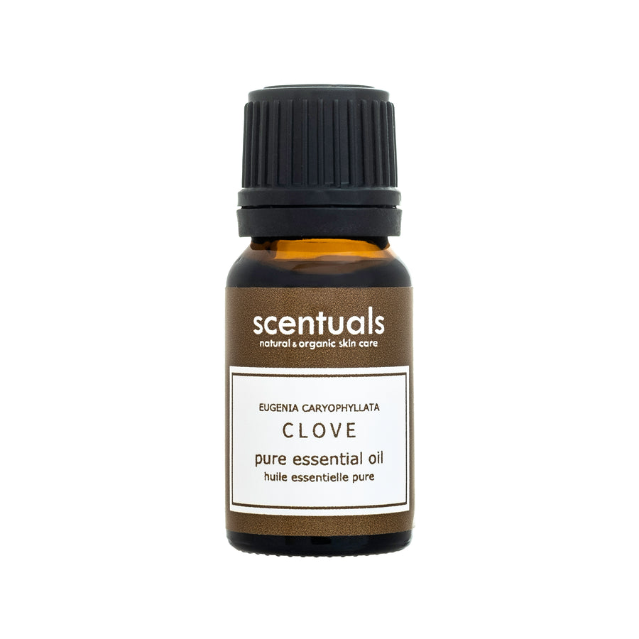 Clove Essential Oil - Scentuals Natural & Organic Skin Care