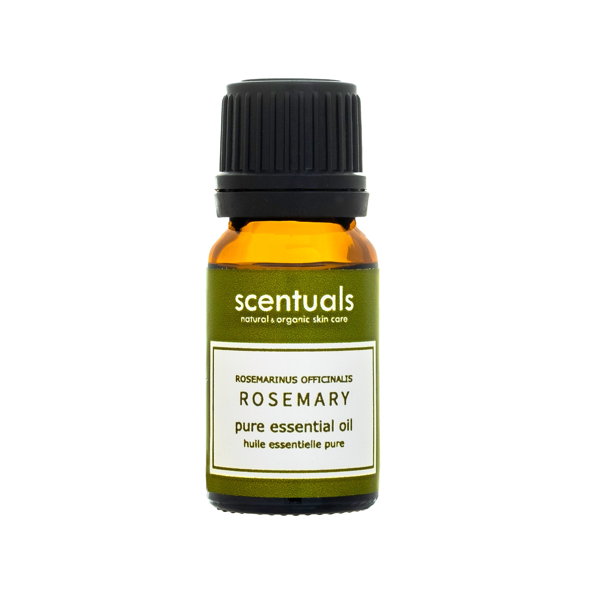 Rosemary Essential Oil  Scentuals Natural & Organic Skin Care