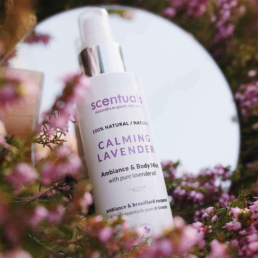 Calming Lavender Ambiance & Body Mist | Scentuals Natural