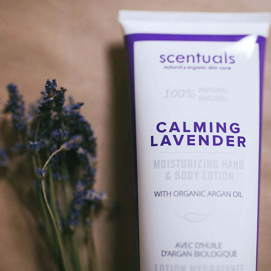 Calming Lavender Hand & Body Lotion - Scentuals Natural & Organic Skin Care