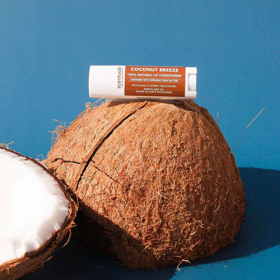 Coconut Breeze Lip Conditioner - Scentuals Natural & Organic Skin Care
