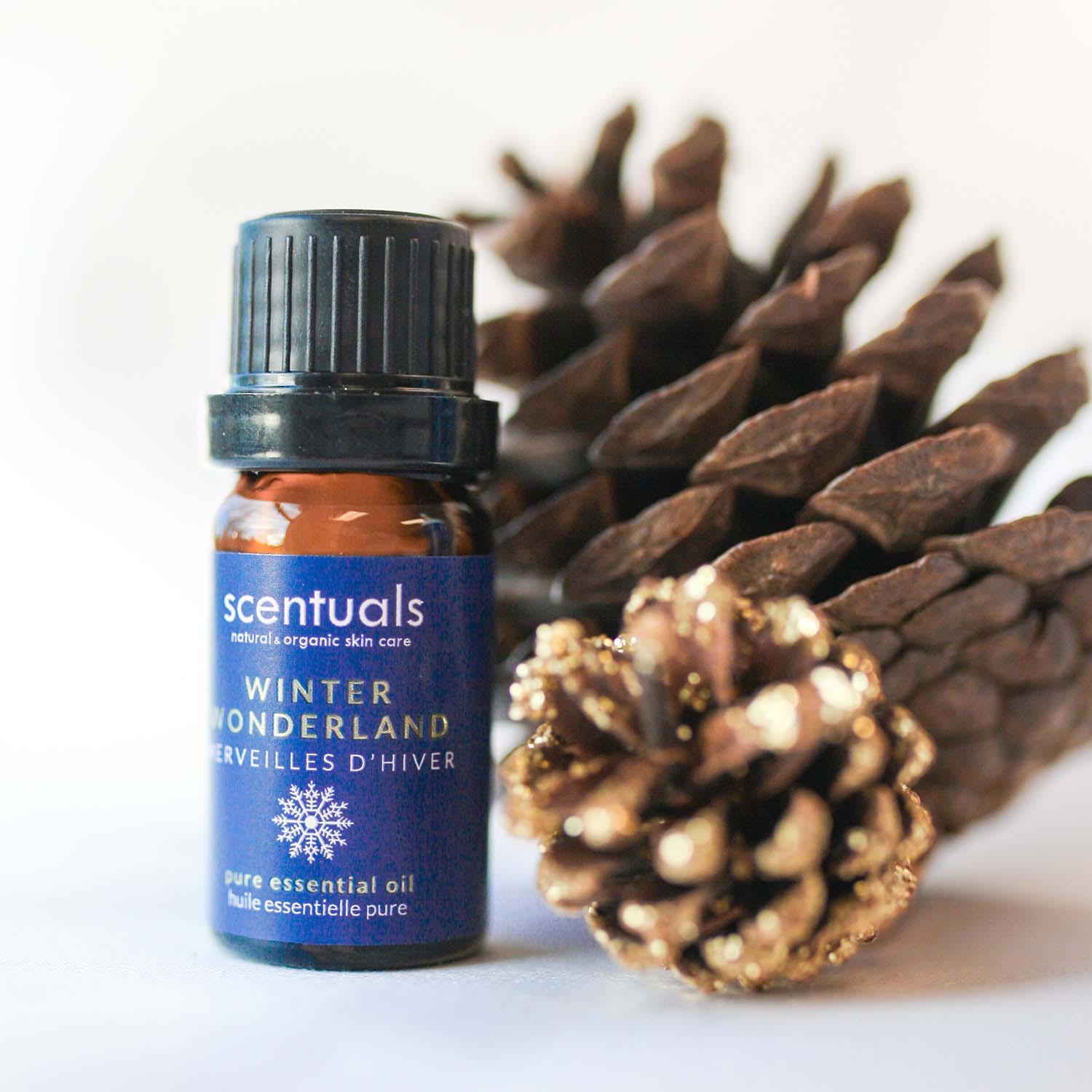 Warm Vanilla Essential Oil Blend  Scentuals Natural & Organic Skin Care