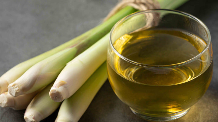 Lemongrass Essential Oil: Everything You Need to Know