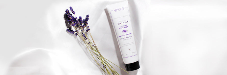 Lavender Body Wash with Real Lavender 