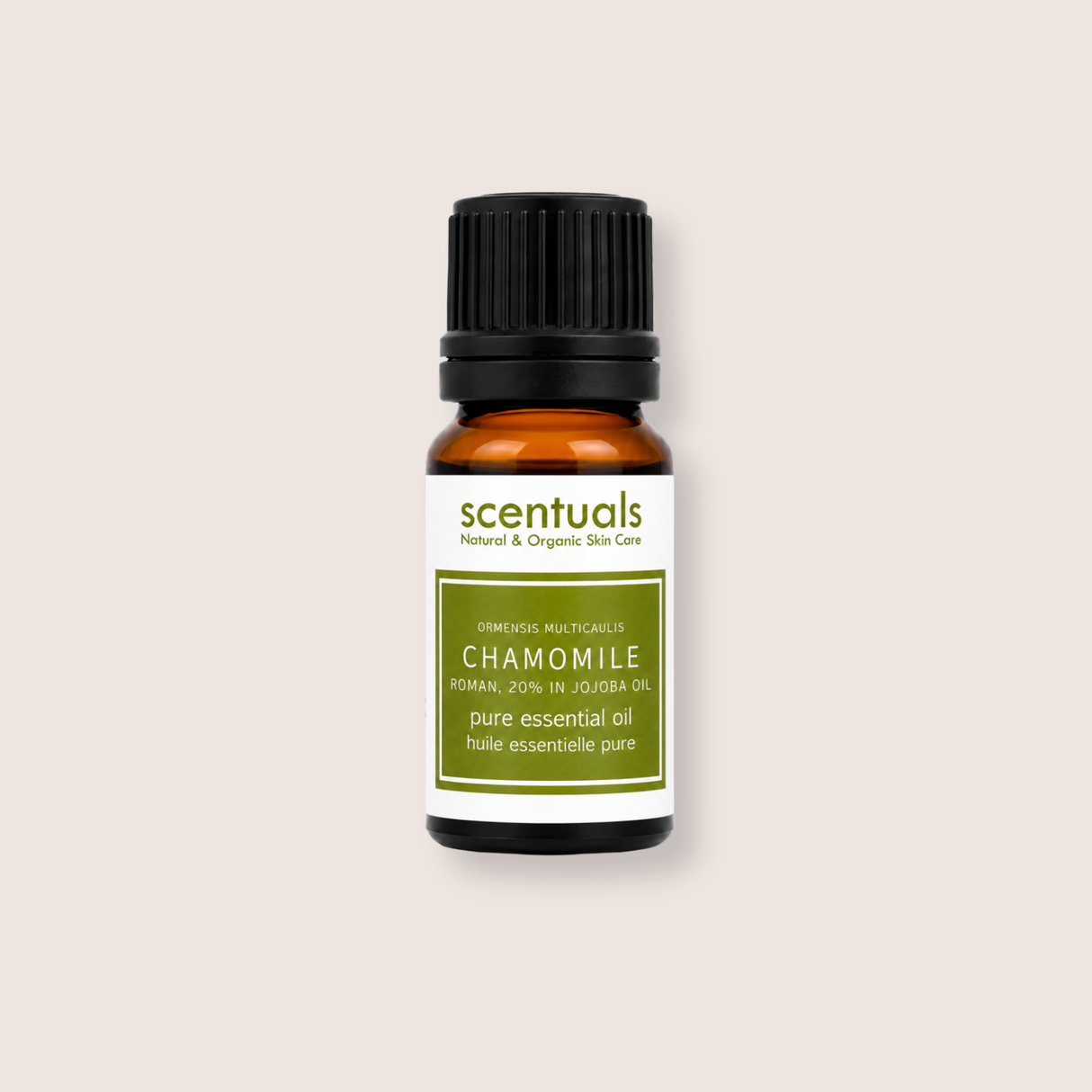 Roman Chamomile Essential Oil 20%