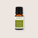Roman Chamomile Essential Oil 20%