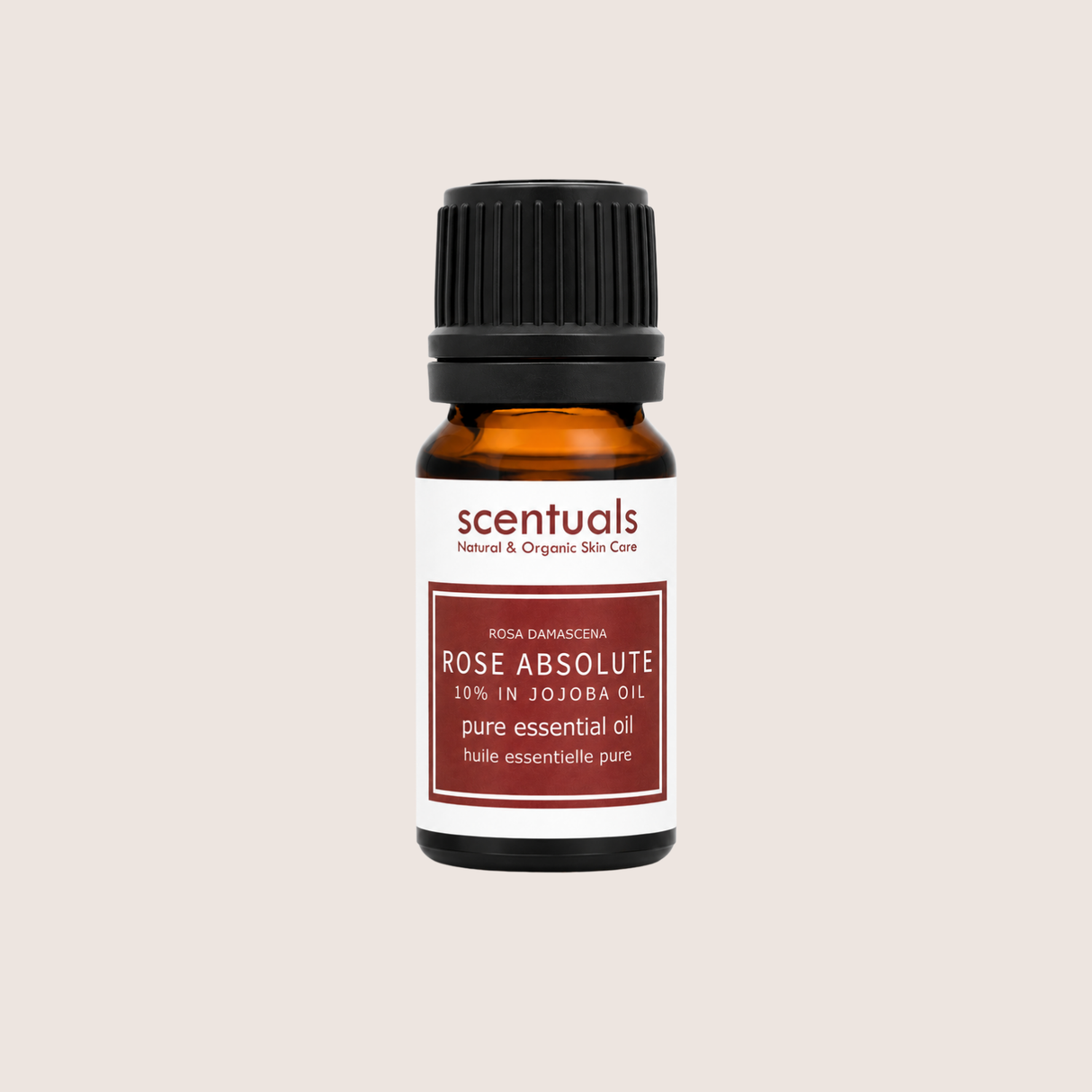 Rose Absolute Essential Oil 10%
