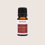 Rose Absolute Essential Oil 10%
