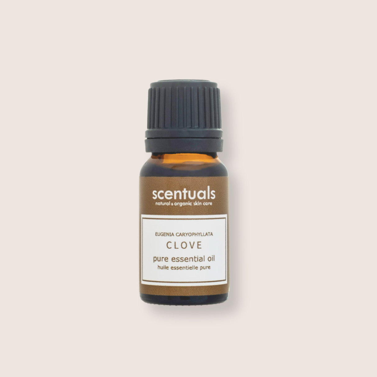 Clove Essential Oil