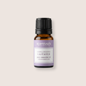 Lavender Essential Oil
