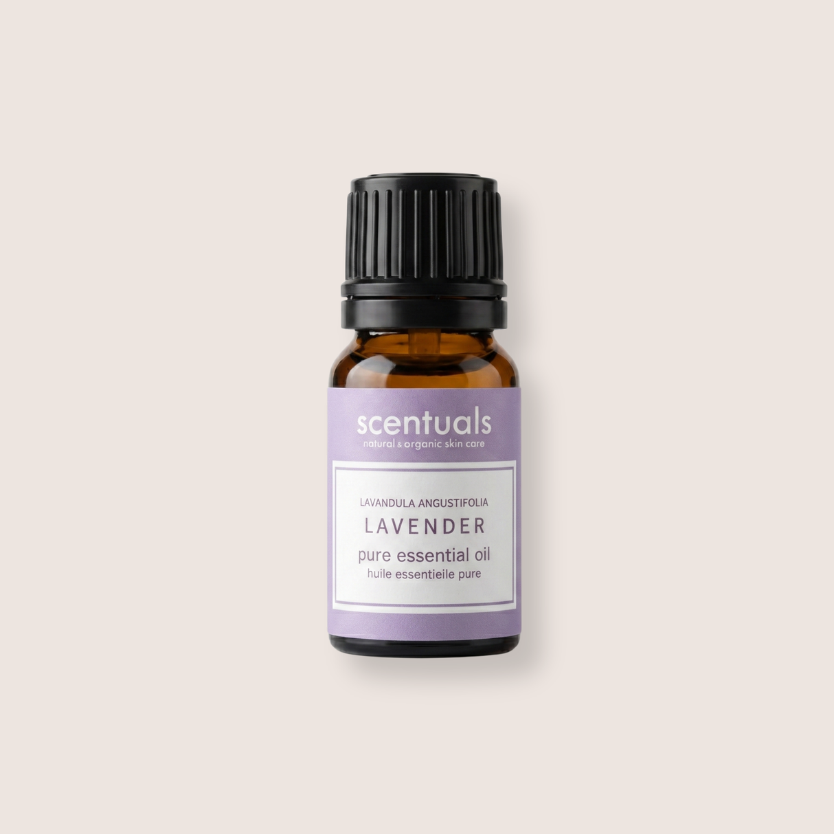 Lavender Essential Oil