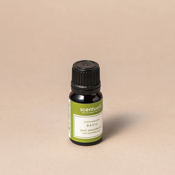 Sweet Basil Essential Oil