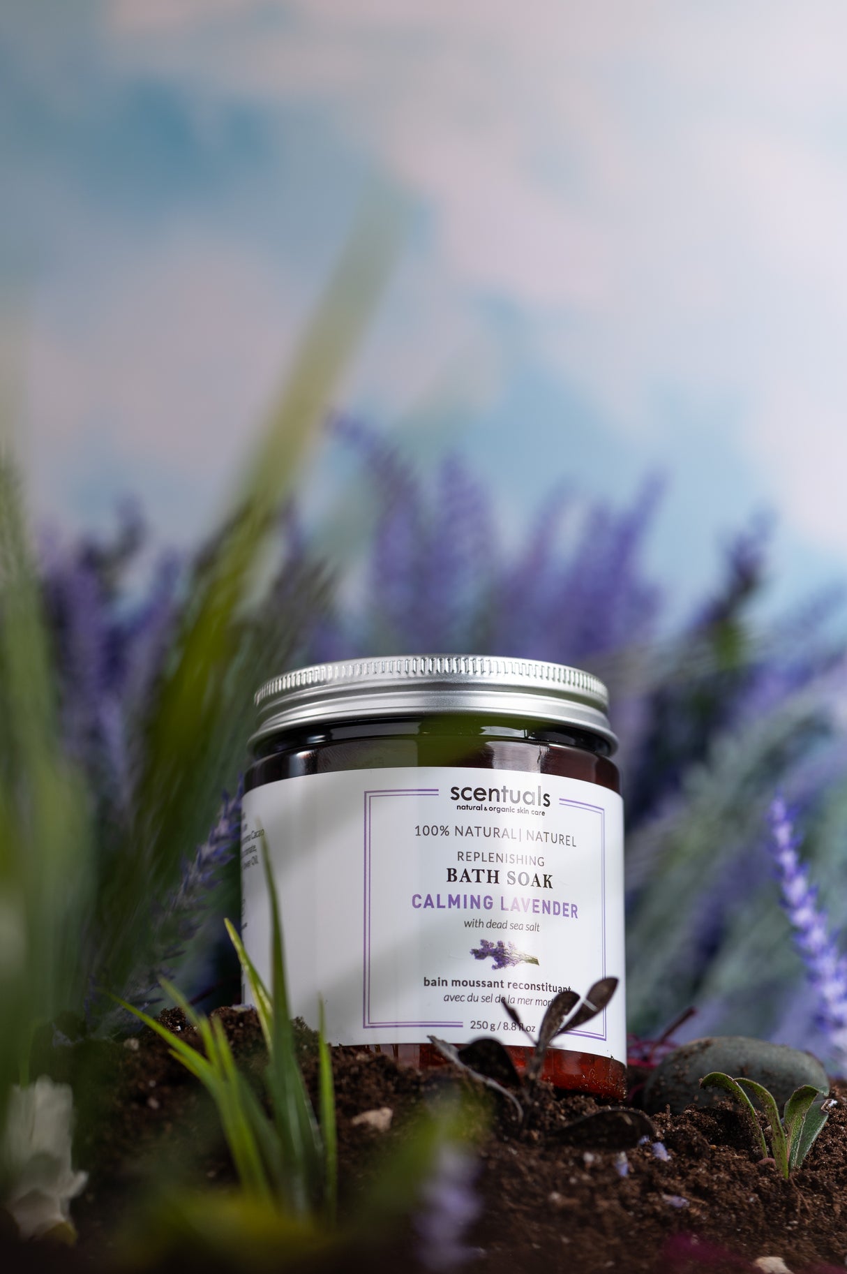 Calming Lavender Duo