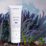 Calming Lavender Body Wash
