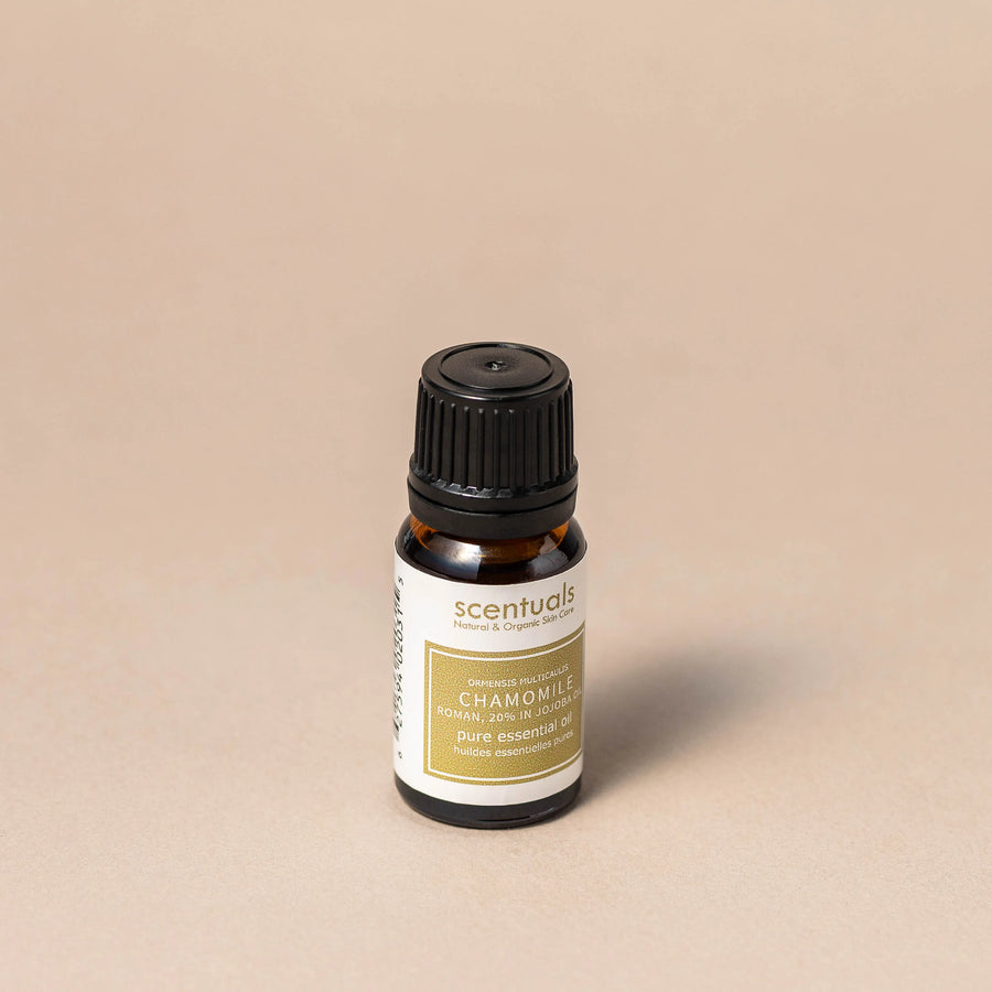 Roman Chamomile Essential Oil 20%