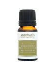 Roman Chamomile Essential Oil 20%