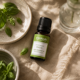 Basil Essential Oil