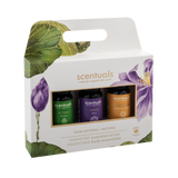 Harmony Essential Oil Set