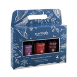 Winter Essential Oil Set