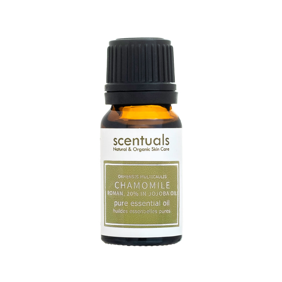 Chamomile, Roman 20% in Jojoba Oil - Scentuals Natural & Organic Skin Care