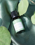 Eucalyptus Essential Oil - Scentuals Natural & Organic Skin Care