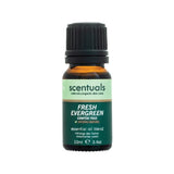 Fresh Evergreen Essential Oil Blend