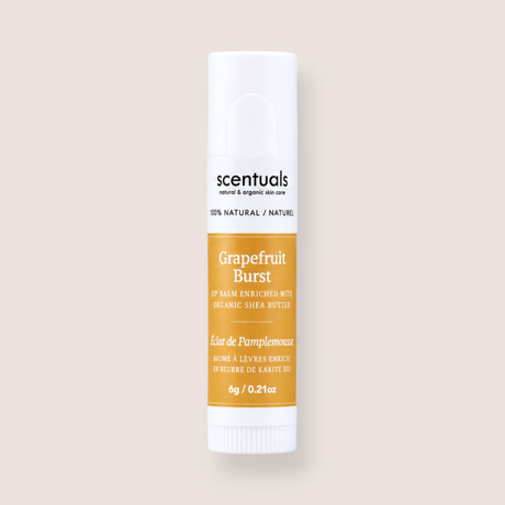 A single tube of scentuals Grapefruit Burst lip balm on a solid light beige background. The tube is white with a prominent orange-yellow label and black text.
