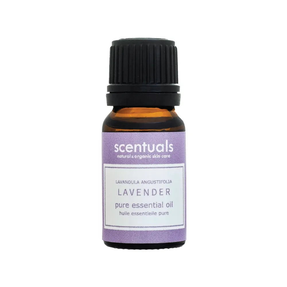 Lavender Essential Oil