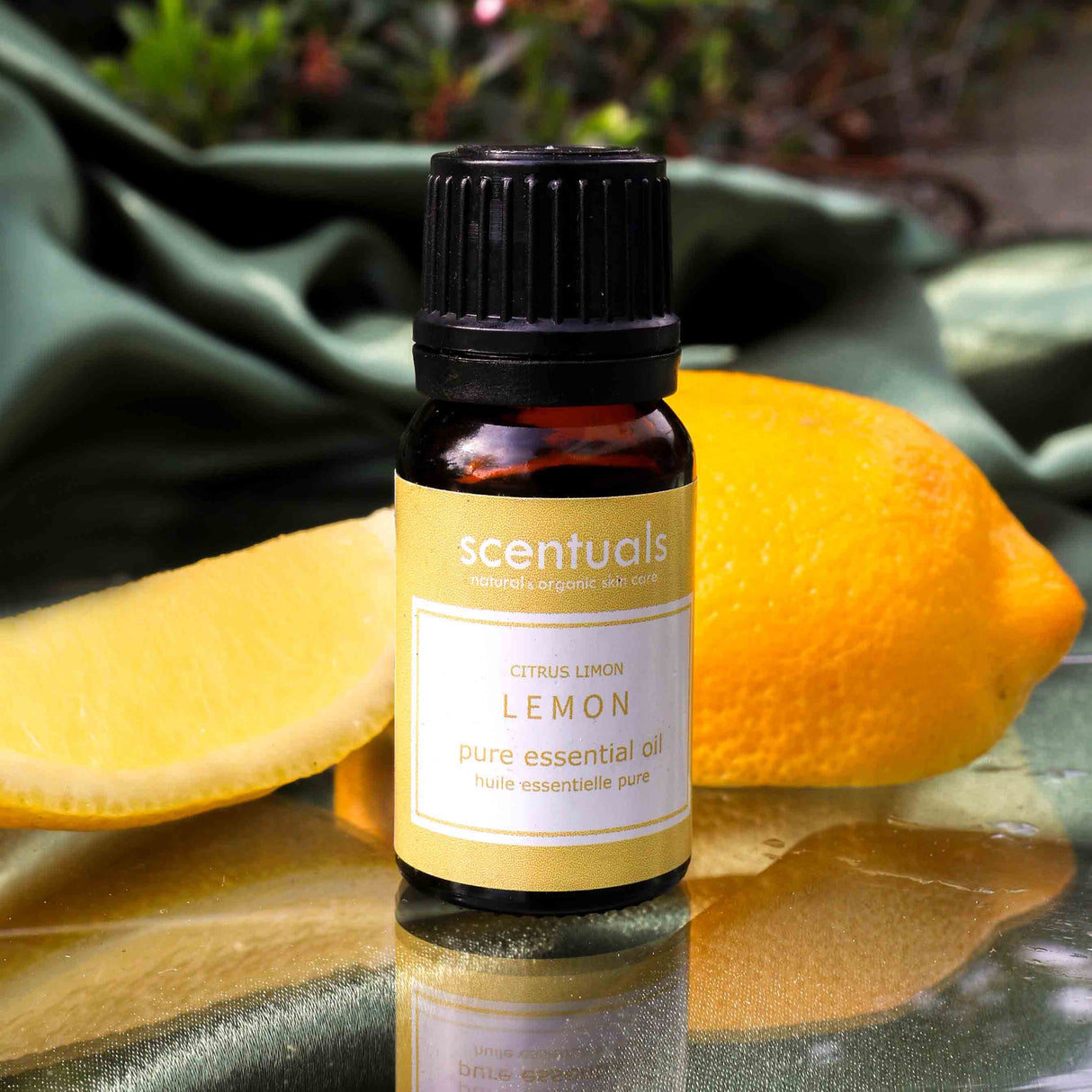 Lemon Essential Oil - Scentuals Natural & Organic Skin Care