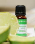 Lime Essential Oil - Scentuals Natural & Organic Skin Care