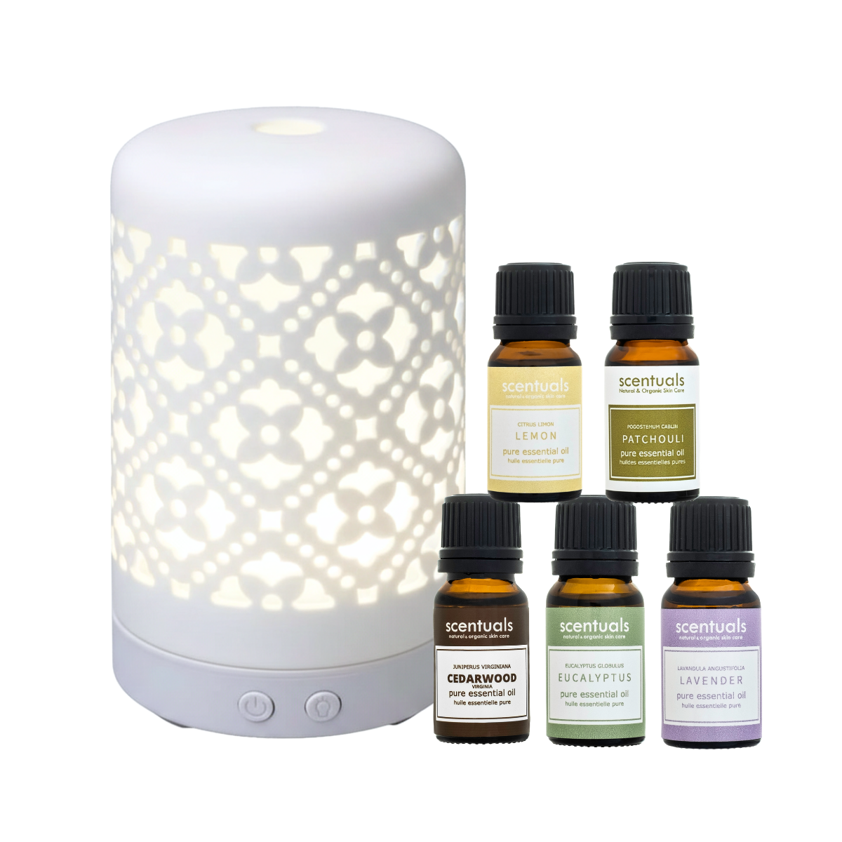The Beginner's Aromatherapy Bundle