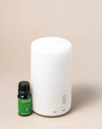 Portable Diffuser with Ritual