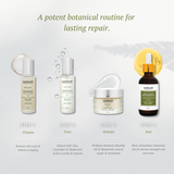 Restorative Facial Serum