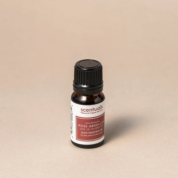 Rose Absolute Essential Oil 10%